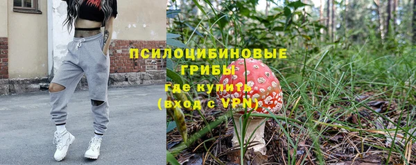 твердый Алексин