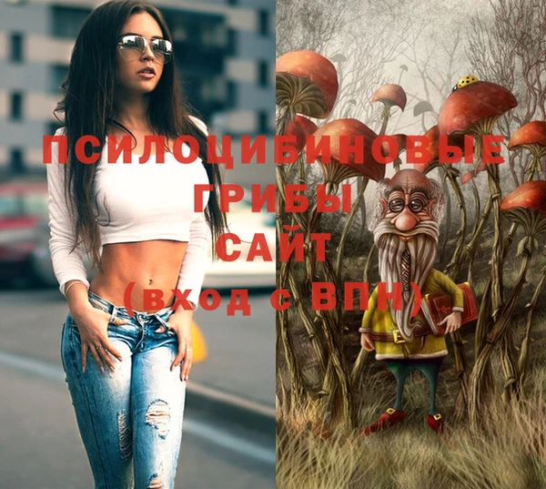 твердый Алексин