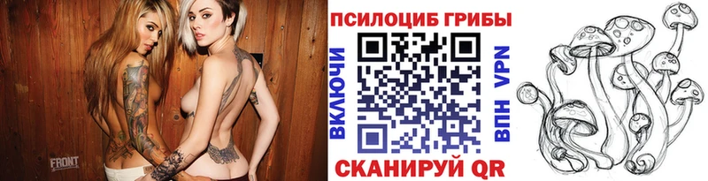 даркнет сайт  Биробиджан  дарк нет какой сайт  Псилоцибиновые грибы GOLDEN TEACHER 
